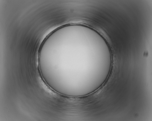 X0000111391036200907100956