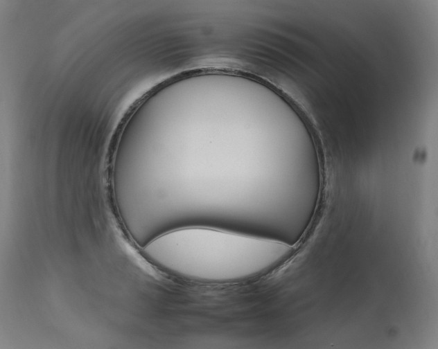 X0000111391037200907100956