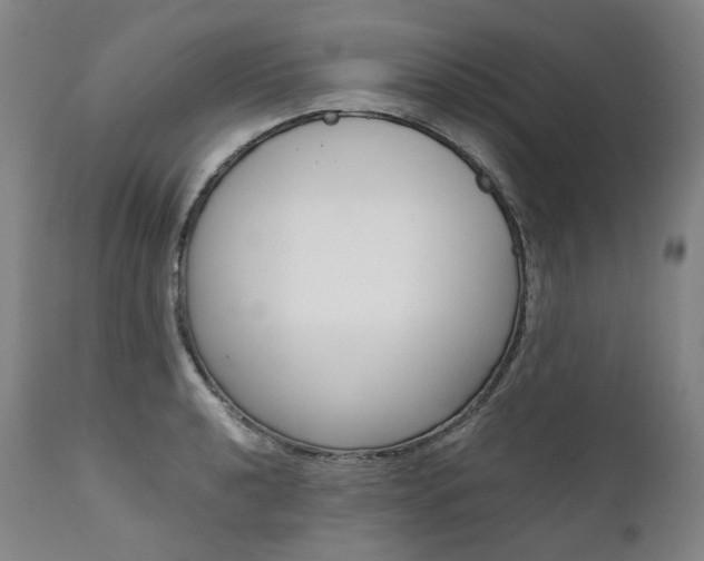 X0000111391040200907100956