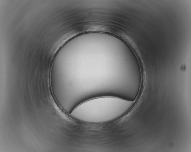 X0000111391041200907100956