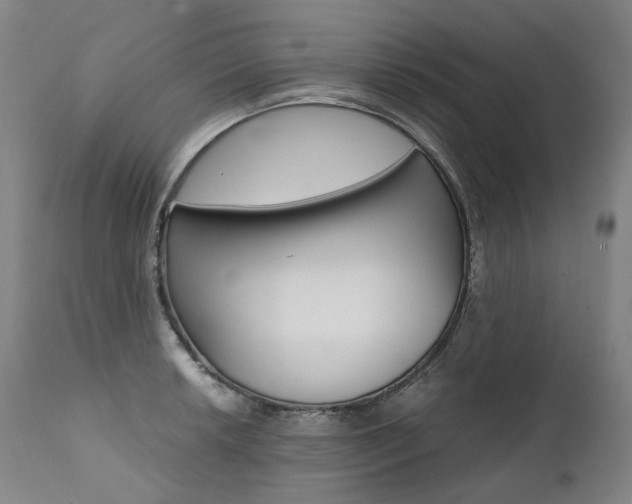 X0000111391042200907100956