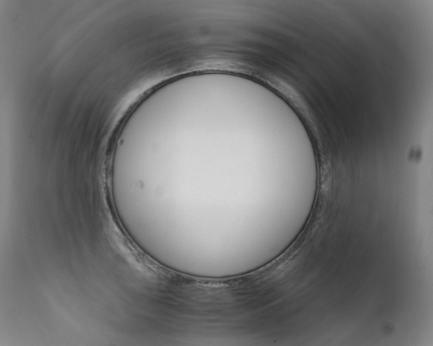 X0000111391043200907100956