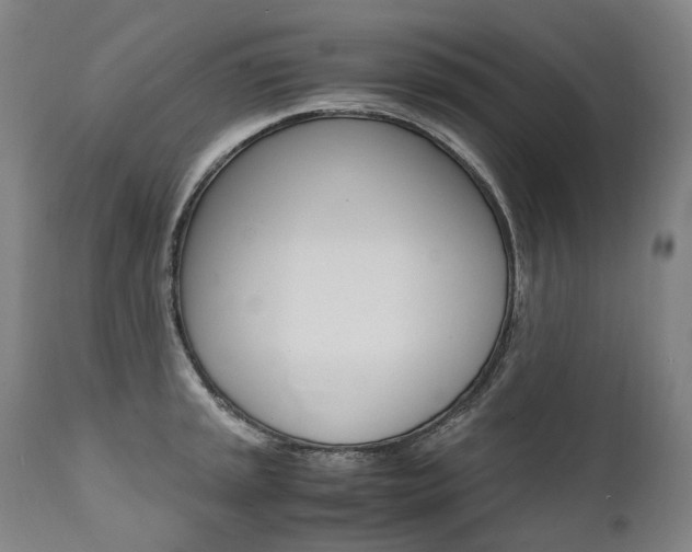 X0000111391045200907100956