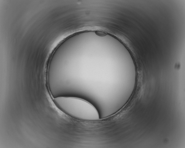 X0000111391046200907100956