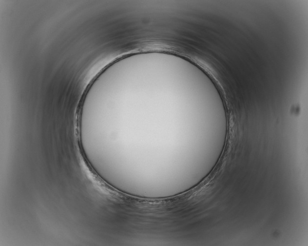 X0000111391047200907100956