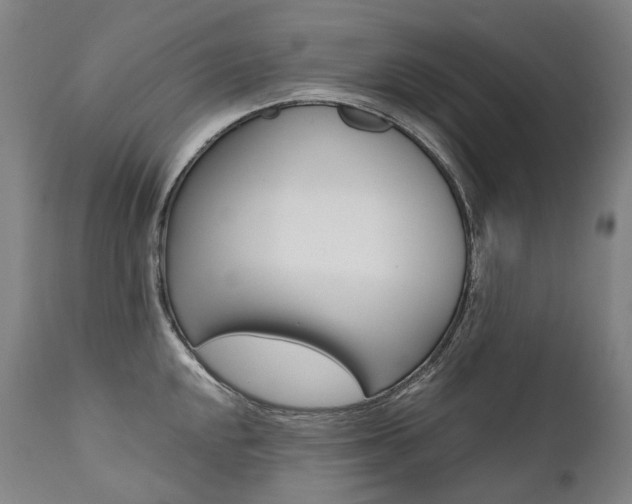 X0000111391048200907100956