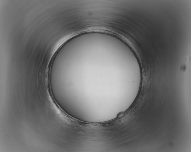 X0000111391050200907100956