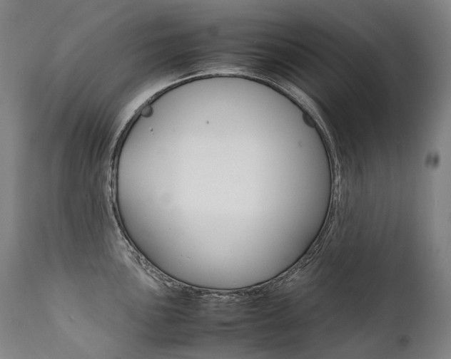 X0000111391051200907100956