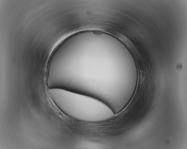 X0000111391052200907100956