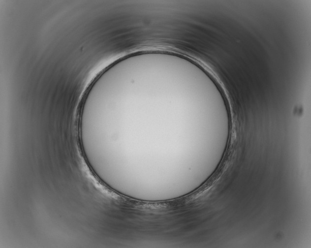 X0000111391053200907100956