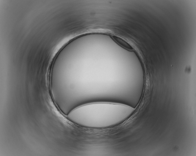 X0000111391054200907100956