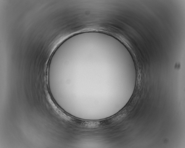 X0000111391055200907100956