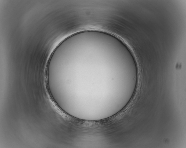 X0000111391056200907100956