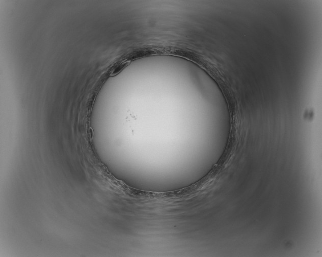 X0000111391057200907100955