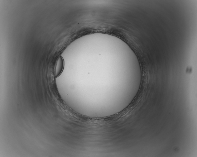X0000111391058200907100955