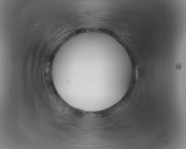X0000111391059200907100955