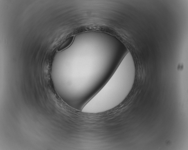 X0000111391060200907100955