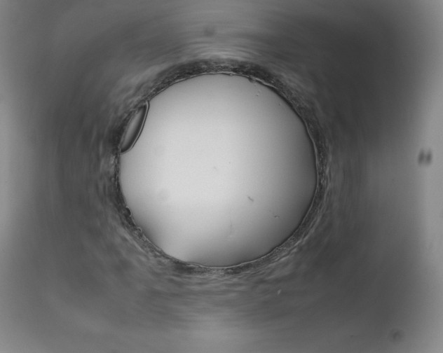 X0000111391061200907100955