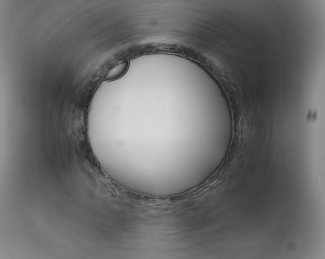 X0000111391062200907100955