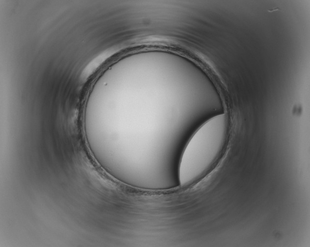X0000111391066200907100955