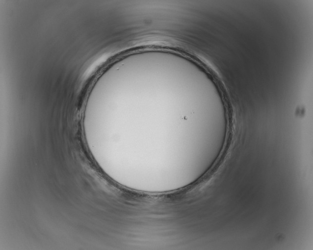X0000111391067200907100955