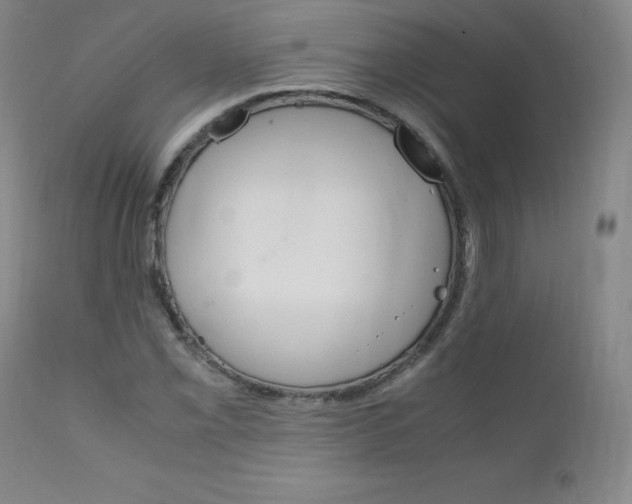 X0000111391069200907100955
