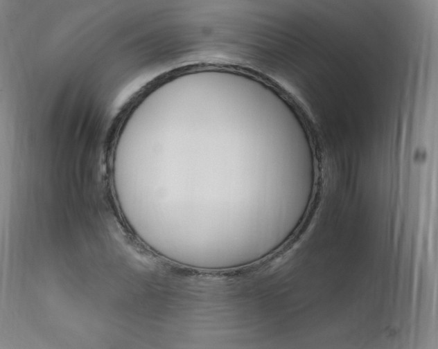 X0000111391070200907100955