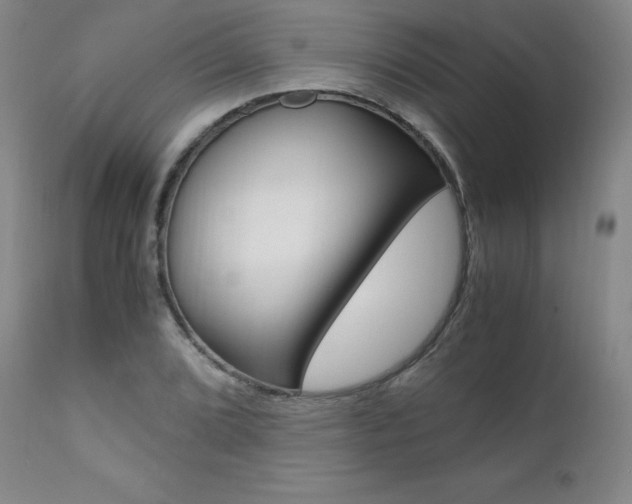 X0000111391072200907100955