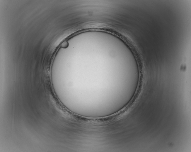 X0000111391073200907100955