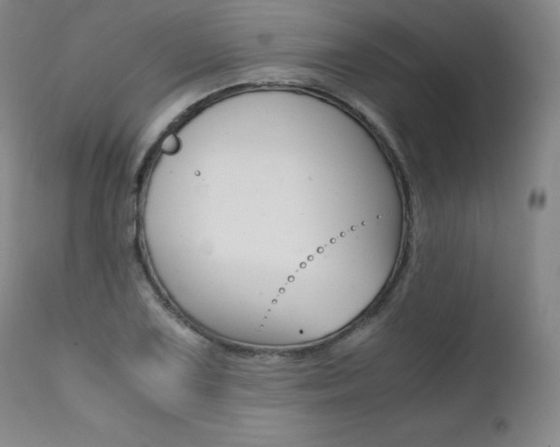 X0000111391075200907100955