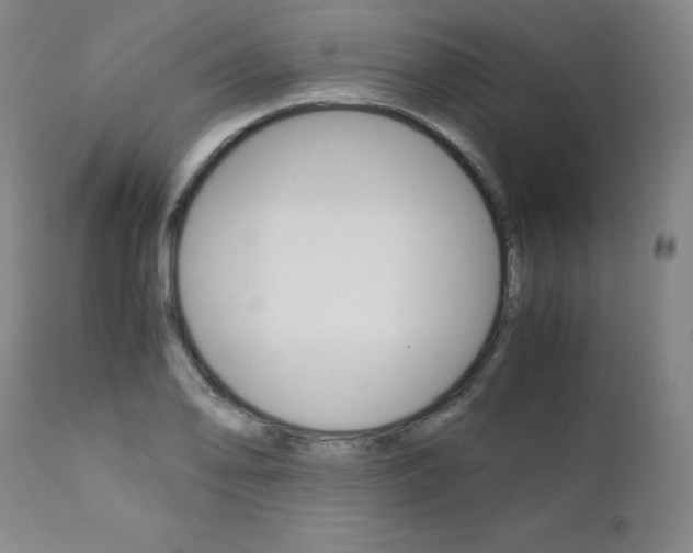 X0000111391078200907100955