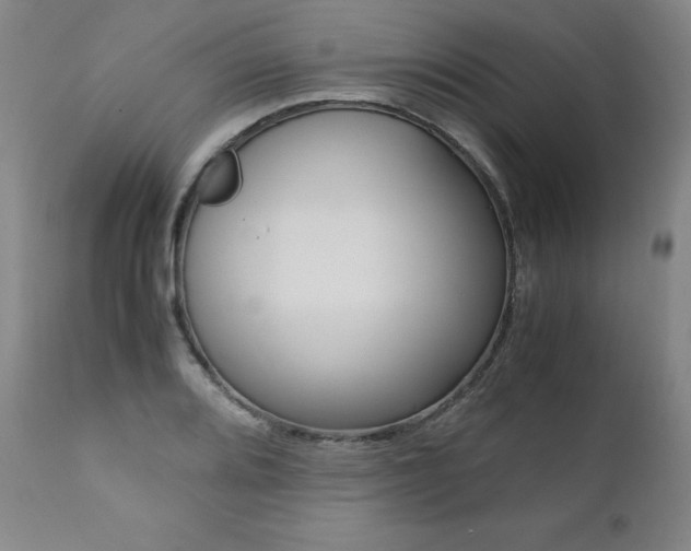 X0000111391080200907100955