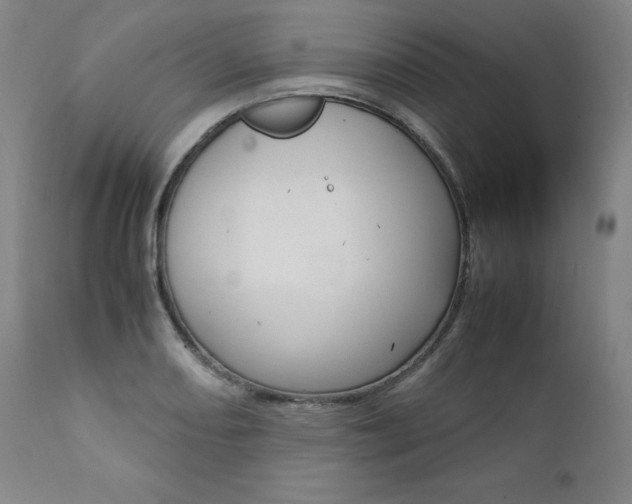 X0000111391082200907100955