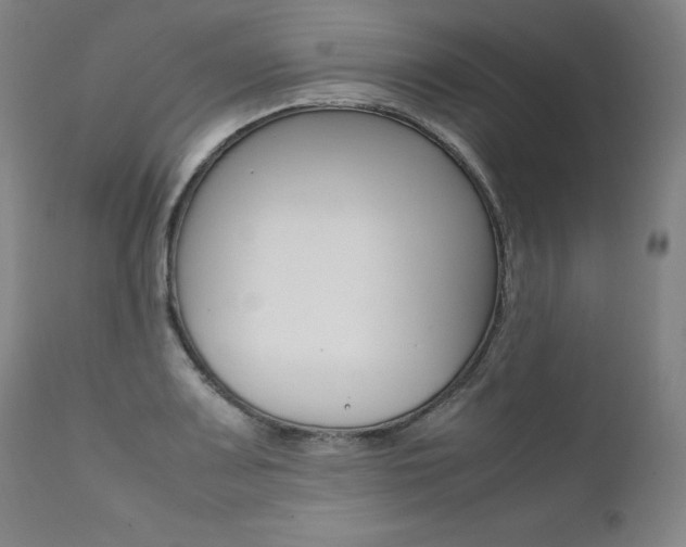 X0000111391083200907100955