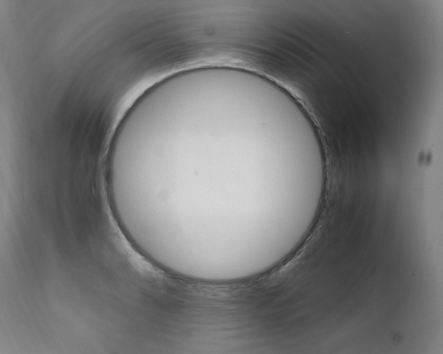 X0000111391086200907100955