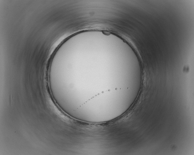 X0000111391091200907100955