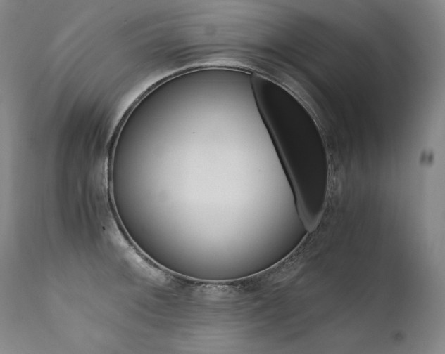 X0000111391092200907100955