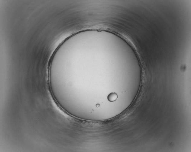 X0000111391095200907100955