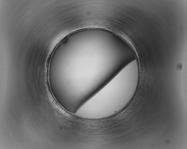 X0000111391096200907100955