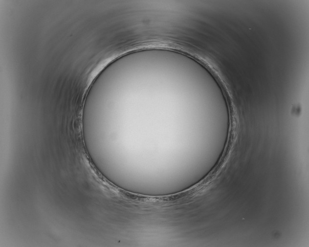 X0000111391097200907100955