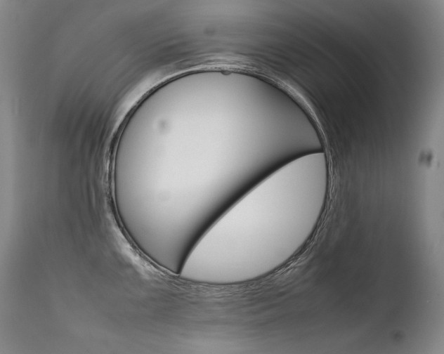 X0000111391099200907100955