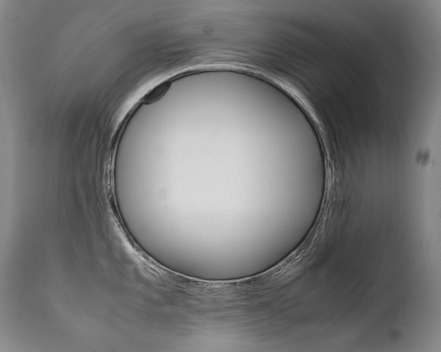 X0000111391101200907100955