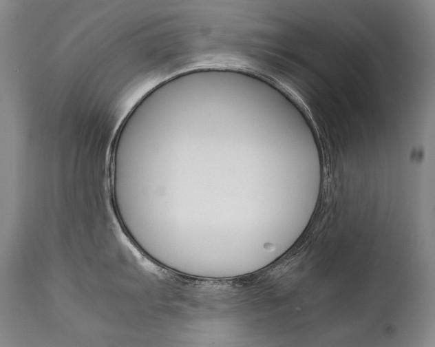 X0000111391103200907100955