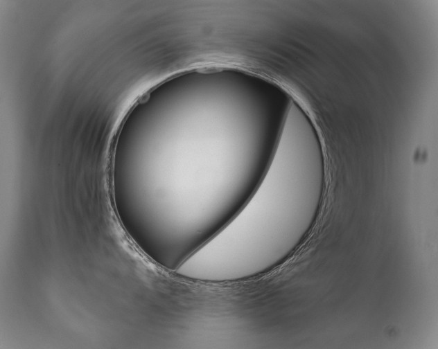 X0000111391104200907100955