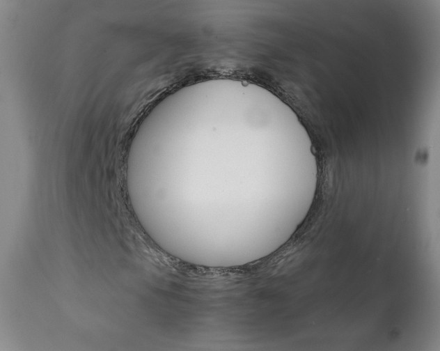 X0000111391105200907100954
