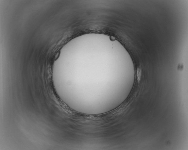 X0000111391107200907100954