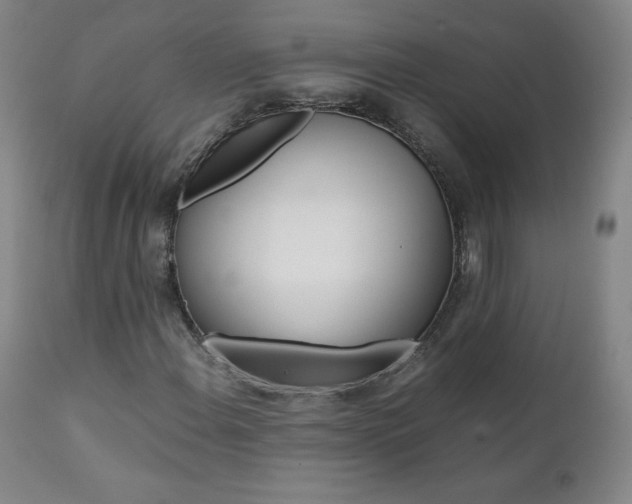 X0000111391108200907100954