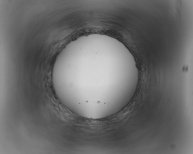 X0000111391109200907100954