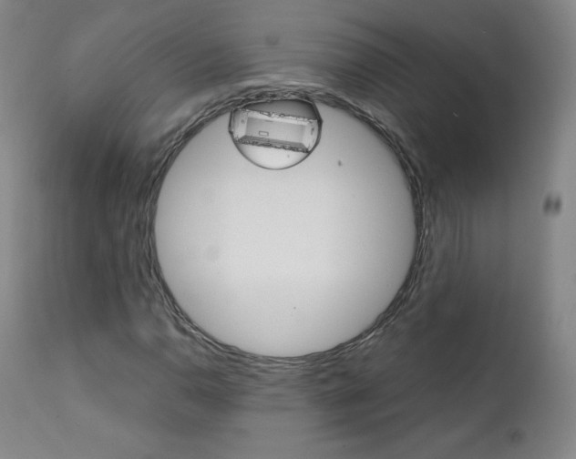 X0000111391110200907100954