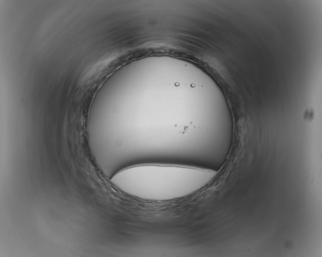X0000111391111200907100954